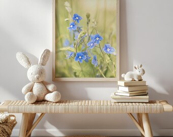 Delicadas flores silvestres azules: fotografía botánica suave, arte mural en tonos pastel claros.