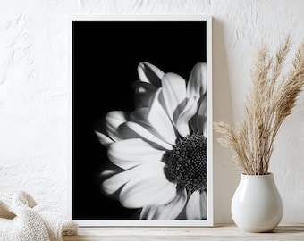 Serene White Flower in Black and White | Macro Photography | Peaceful Floral Art