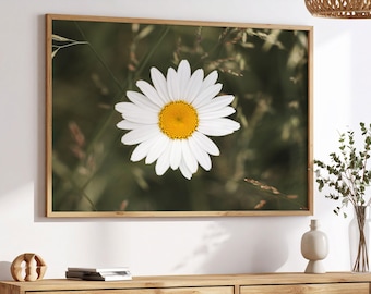 Fotografía de margarita – Impresión botánica minimalista (descarga digital)