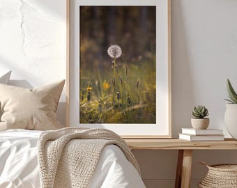 Diente de león al atardecer: fotografía de un prado cálido de verano, arte mural imprimible