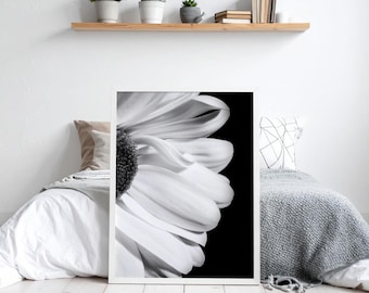 Serene White Flower in Black and White | Macro Photography | Peaceful Floral Art