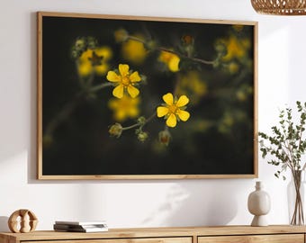 Flores amarillas de prado sobre fondo oscuro: arte mural natural, descarga digital minimalista para interiores