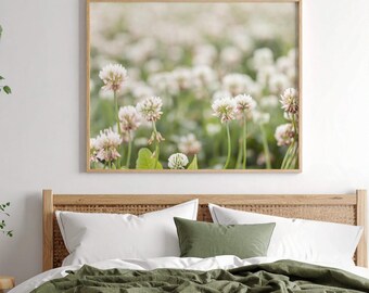 Impresión de pradera de trébol blanco: fotografía botánica relajante de naturaleza (descarga digital)