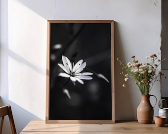 Impresión macro de flores en blanco y negro: fotografía minimalista de naturaleza, flores monocromáticas y arte botánico melancólico