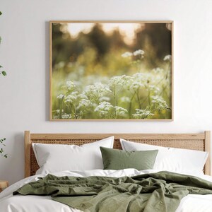 Golden Hour Wildflower Print – Summer Meadow Wall Art, Soft Nature Photography, Light Botanical Scene, Peaceful Floral Decor