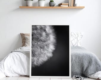 Primer plano de diente de león en blanco y negro: arte mural botánico minimalista, fotografía de naturaleza imprimible