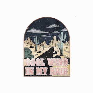 May include: A retro-style illustration of a desert road with cacti and mountains under a starry night sky. The text "COOL WIND IN MY HAIR" is written in pink letters on a brown background.