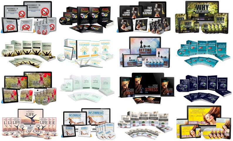 May include: A collection of self-help books, DVDs, and digital products. Titles include "Disconnect to Reconnect", "Fast Learner Blueprint", "Why", "Driving Yourself", "Getting Things Done", "Life", "Insomniac", and "How to Avoid Stress".