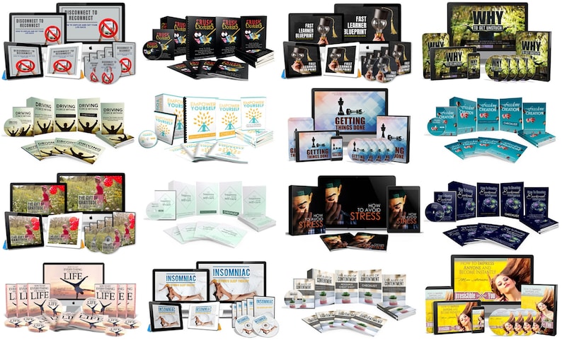 May include: A collection of self-help books, DVDs, and digital products. Titles include "Disconnect to Reconnect", "Fast Learner Blueprint", "Why", "Driving Yourself", "Getting Things Done", "Life", "Insomniac", and "How to Avoid Stress".
