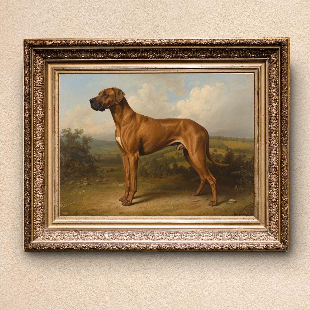 Rhodesian Ridgeback Dog (unframed) | Heritage Style Dog Print | Vintage ...