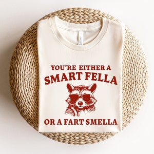 Are You A Smart Fella Or Fart Smella? Retro Cartoon T Shirt, Weird T Shirt, Meme T Shirt, Trash Panda T Shirt, Unisex