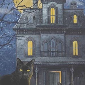 May include: An illustration of a haunted house with a full moon and bats in the night sky. Two black cats with yellow eyes sit in front of the house. The panel size is 61cm x 109cm.