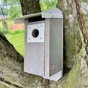 May include: A gray and green birdhouse with a white entrance plate and a small, round opening. The birdhouse is mounted on a tree branch and has a white roof. A small, copper-colored ring is on the side of the birdhouse.