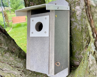 Premium Bluebird House – Reclaimed Composite (Trex) | Weatherproof | Predator Guard