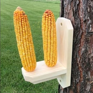 May include: A wooden bird feeder attached to a tree, holding two ears of yellow corn. The feeder is made of unfinished wood and has a shelf to hold the corn. The corn is bright yellow with a reddish-brown tip.