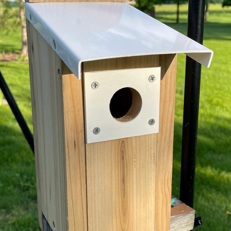 Large Bird House - Etsy - Large Large Bird Housing Solutions