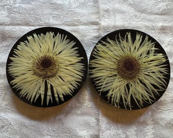 May include: Two round black coasters with a pressed flower design. Each coaster features a cream-colored flower with a dark brown center. The coasters are set against a white, textured background.