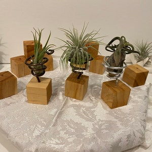 3er Set Luftpflanzenhalter, Wohndekor, Holzbasis mit Metallhalter, Menge 3, Indoor-Gartenarbeit,