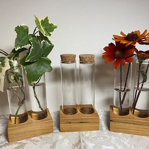 Doppelglasröhrchen-Vermehrungsstation, Hydroponik-Vase, Innenpflanzenständer, Doppelvase mit einem Stiel, Ahornholz-Pflanzenständer,