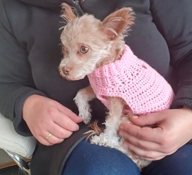 gehäkelter Hunde/Katzenpullover für kleine bis mittlere Tiere Bild 7