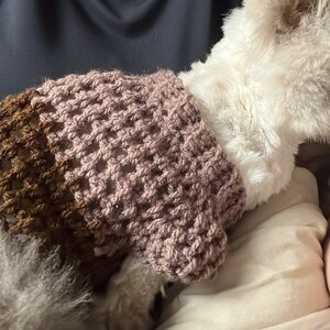 gehäkelter Hunde/Katzenpullover für kleine bis mittlere Tiere Bild 8