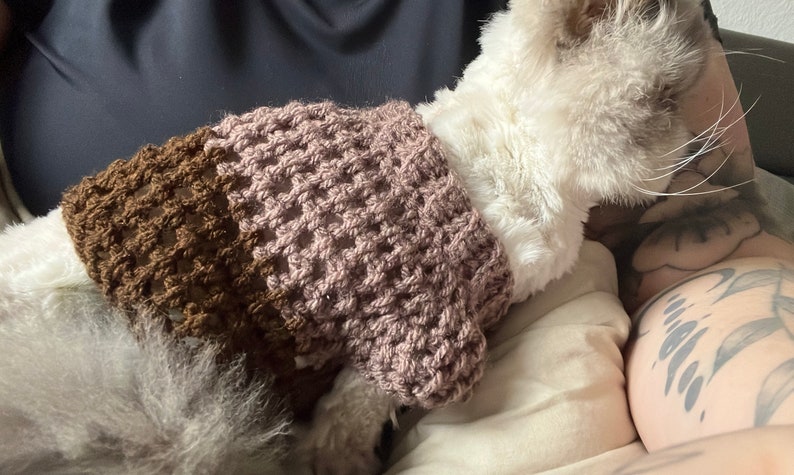 gehäkelter Hunde/Katzenpullover für kleine bis mittlere Tiere Bild 8