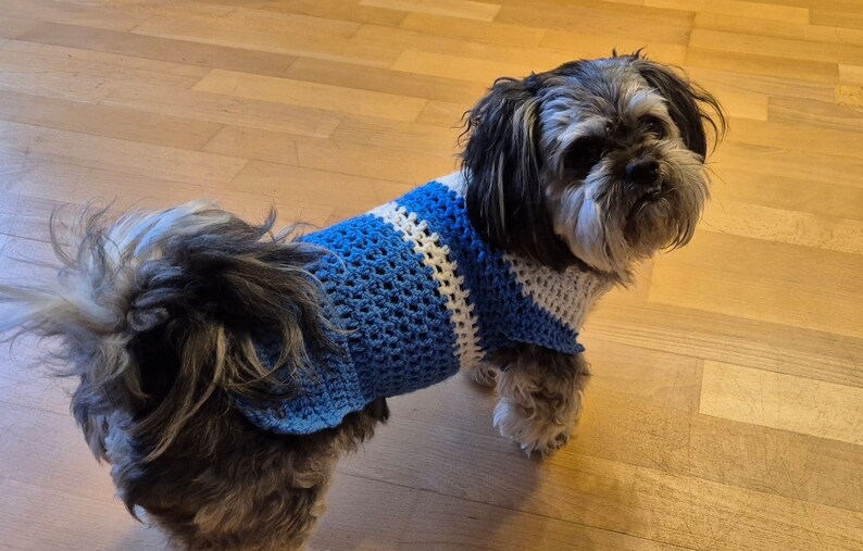 gehäkelter Hunde/Katzenpullover für kleine bis mittlere Tiere Bild 3