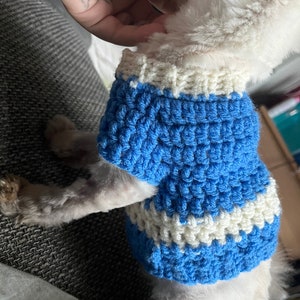 gehäkelter Hunde/Katzenpullover für kleine bis mittlere Tiere Bild 9