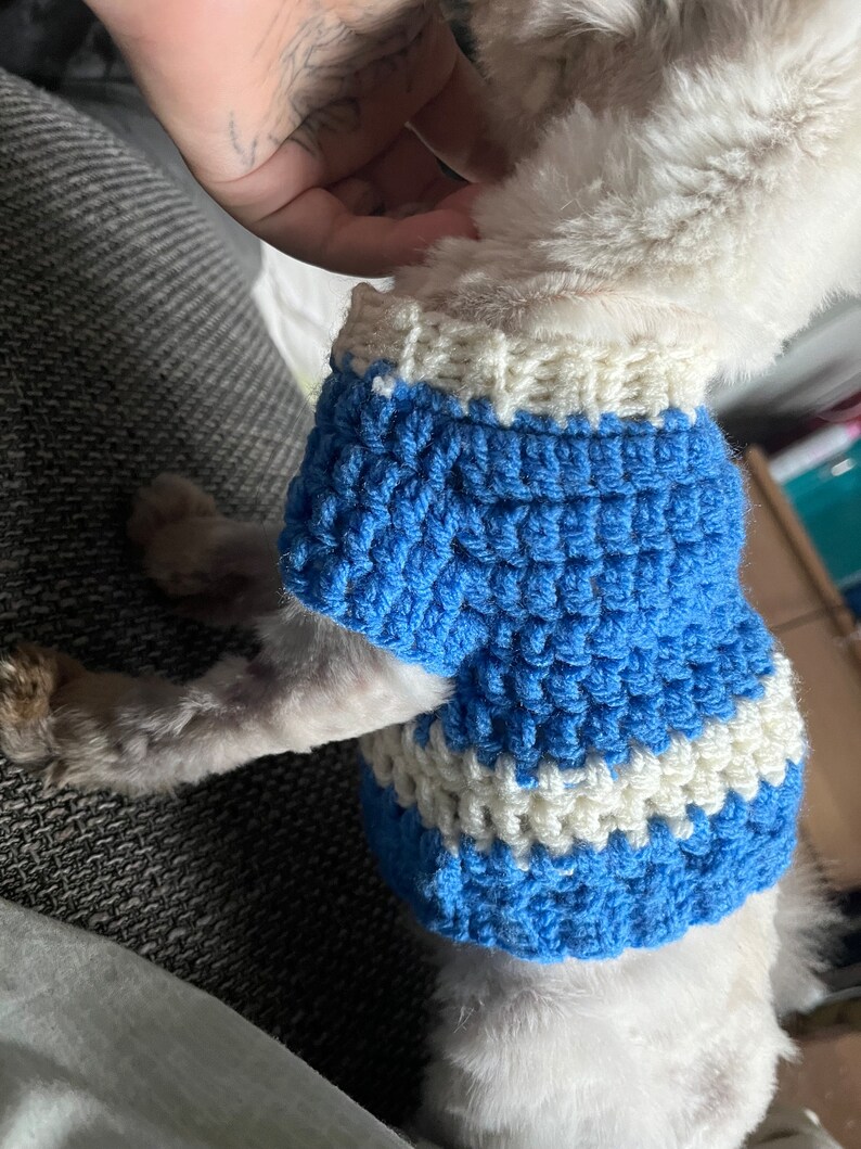 gehäkelter Hunde/Katzenpullover für kleine bis mittlere Tiere Bild 9