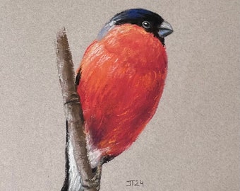 Peinture pastel originale de bouvreuil d’oiseau, peinture de petite œuvre d’art