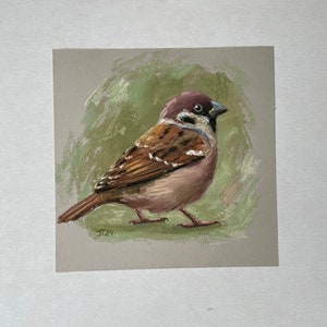 Vogel Spatz Original Pastell Malerei, Sperling Kleines Kunstwerk Bild 5