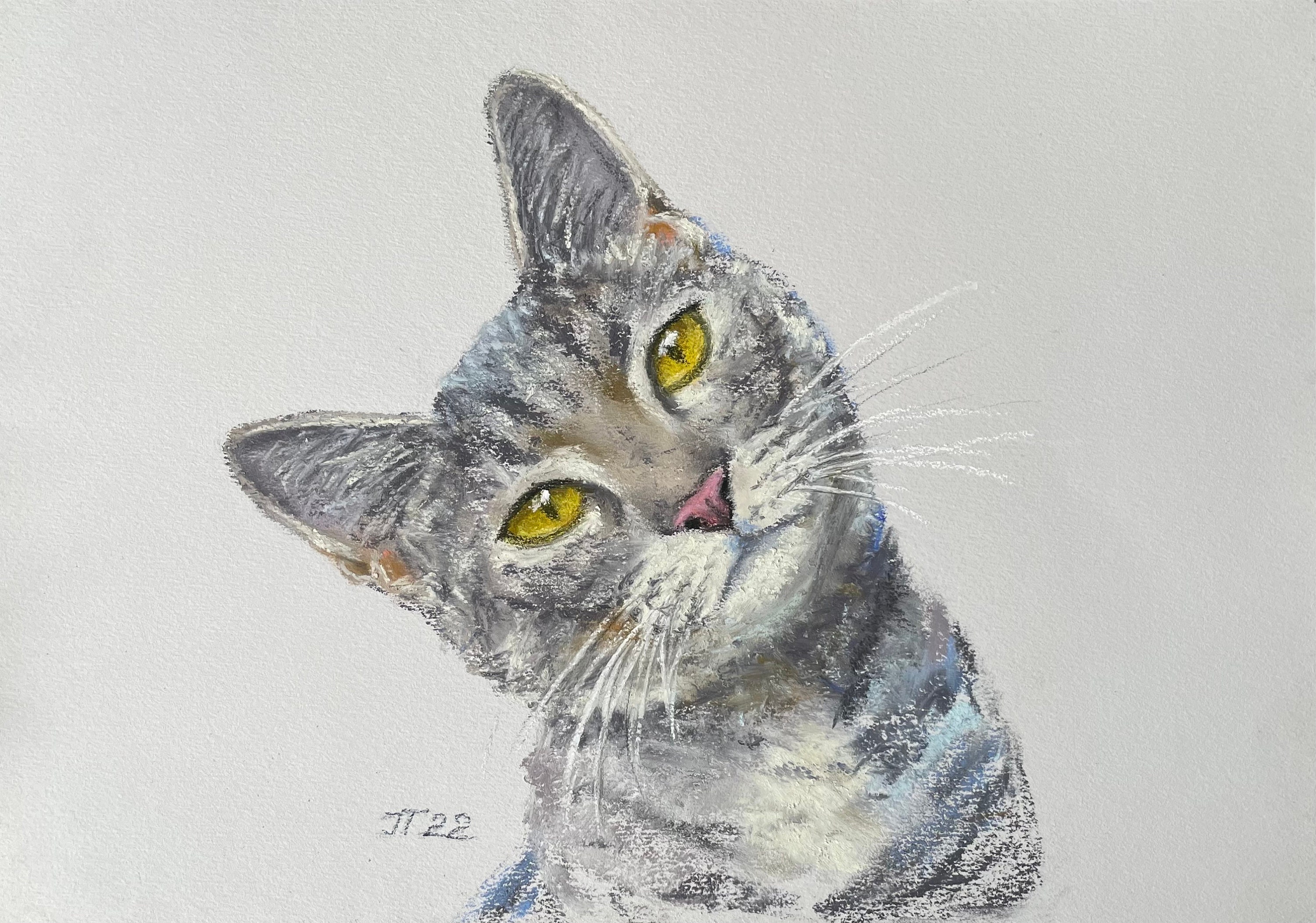 Pastel Painting of Kitten