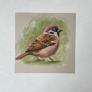 Vogel Spatz Original Pastell Malerei, Sperling Kleines Kunstwerk Bild 4