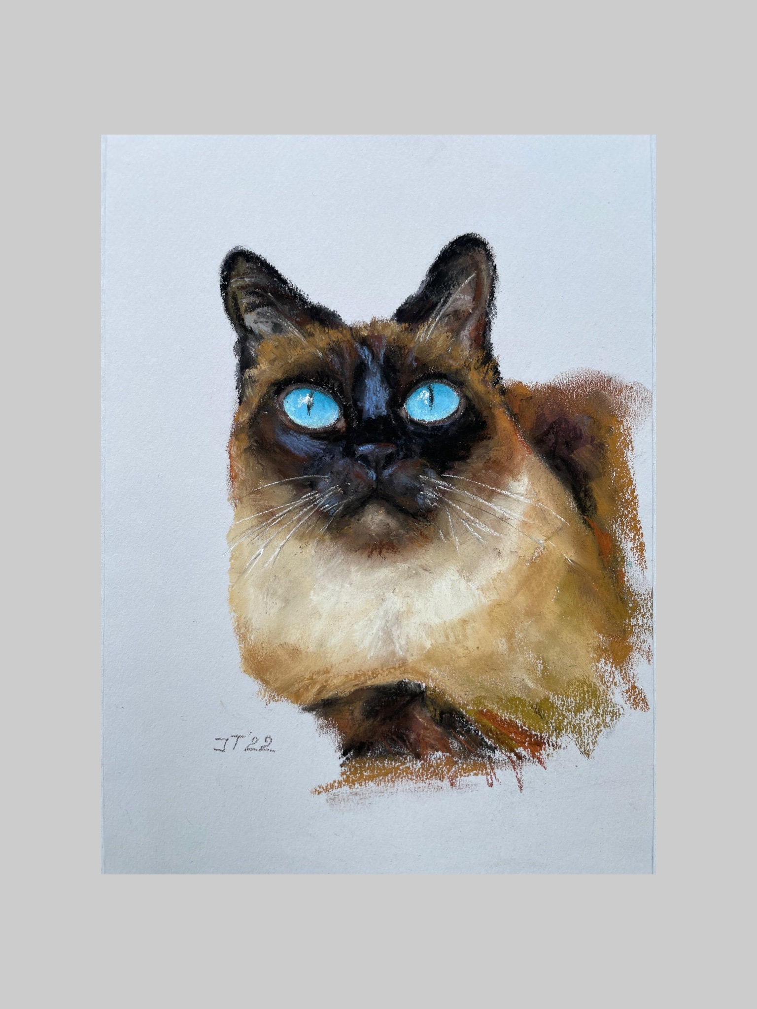 Siamese Cat Original Pastel Painting Cat Portrait Small Etsy