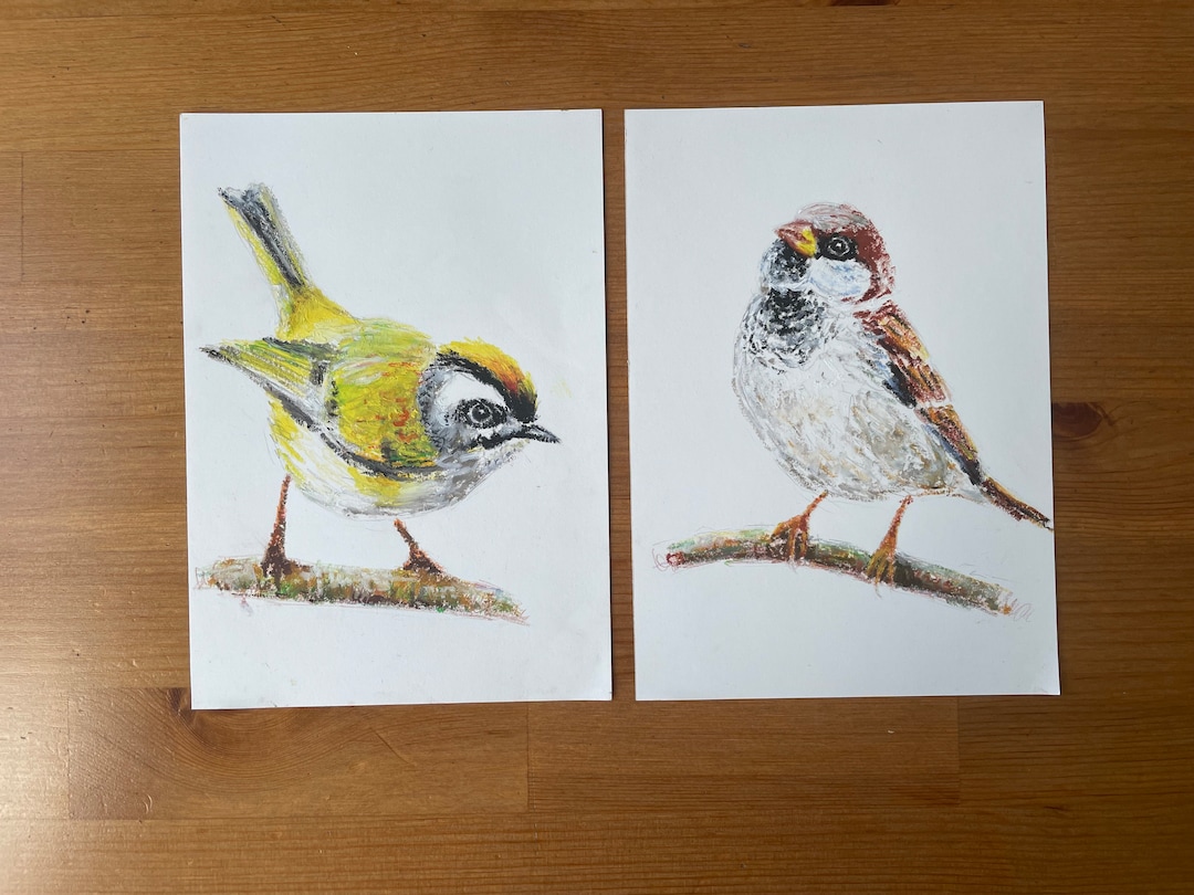 Set of 2 Bird Original Oil Pastel Painting, Sparrow Bird Painting - Etsy