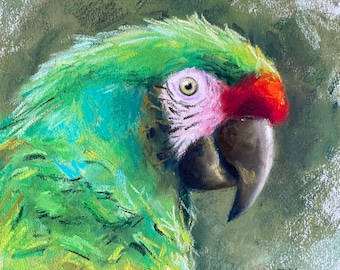 Papagei Original Pastell Malerei, Vogel Kleines Kunstwerk