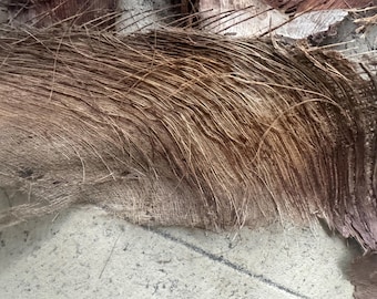 Coconut Palm Bark Fiber Sheets (3 Pack) | 16” x 8” or (6 pack) | 8” x 6”Orchid Mounting Material  | Eco-Friendly Garden Supply