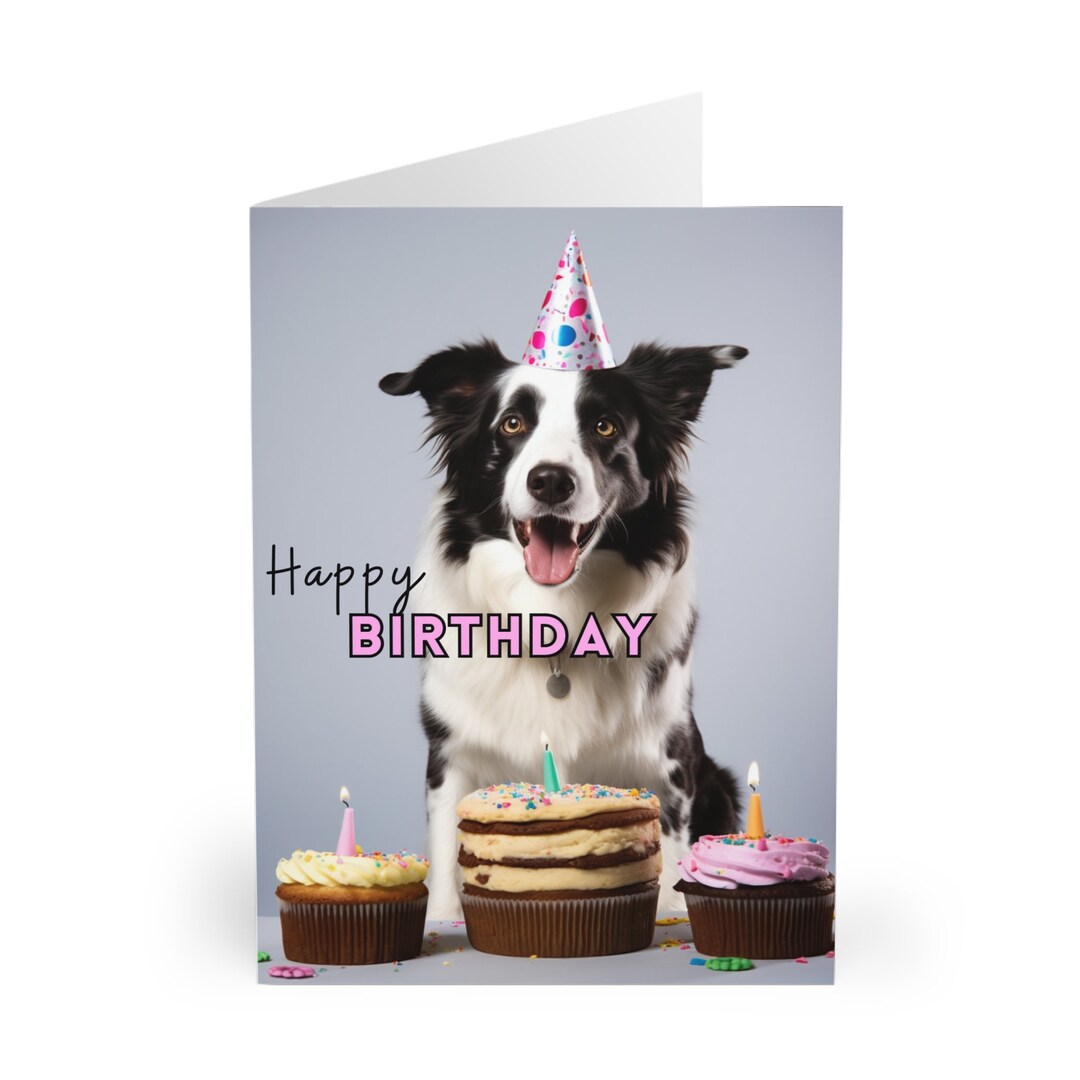 Curled Up Border Collie Birthday Card - Party Hat Sheep Dog Lover Gift - View #12