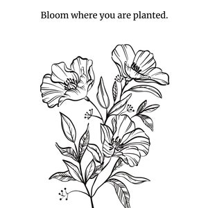 Bloom Where You are Planted Flower Quote, Digital Download, Flower Poster Digital, Minimal Flowers, Home Decor, Printable Art, Wall Art