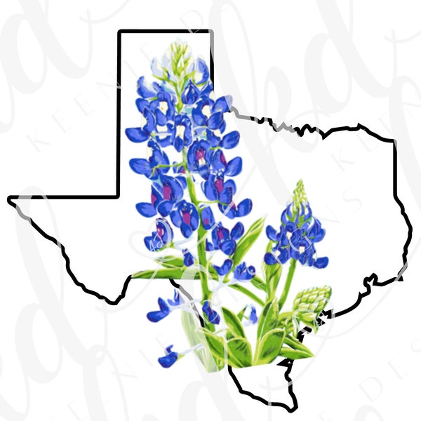 Texas shaped State Flower PNG;  Texas State with Bluebonnet; Texas state flower on Texas outline PNG