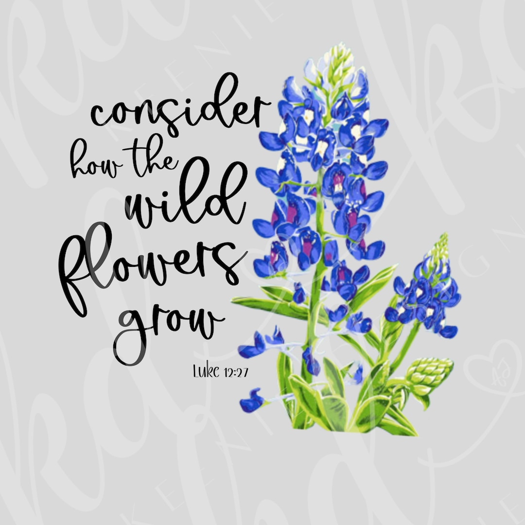 Texas State Flower PNG; Bluebonnet Png; Bible Verse Texas State Flower ...
