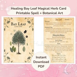 Tarjeta de hechizo de laurel PNG / Magia herbal imprimible / Ritual de perdón y liberación / Página de grimorio descargable digitalmente