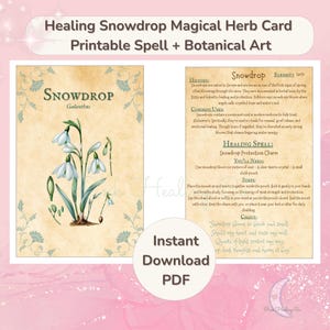 Carta mágica de floco de neve, página de grimório botânico para impressão, livro das sombras, magia de ervas, ritual de cura, decoração de altar, PDF de flores de nascimento de janeiro