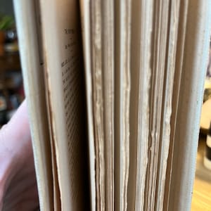 1899 The Old Gentleman Of The Black Stock by Thomas Nelson Page image 6