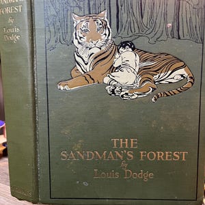 1918 The Sandman’s Forest by Louis Dodge. A Story for Big People to Read to Little People.