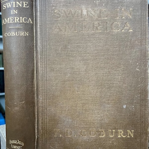 1910 Swine In America by F.D. Coburn. Orange Judd.