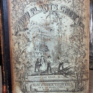May include: An antique hardcover book titled Botany for Young People: How Plants Grow by Prof. Asa Gray, M.D. The cover features black ink illustrations of people gardening, floral vines, and text detailing the publisher, Ivison, Blakeman, Taylor & Co.