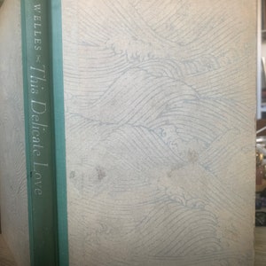 1929. This Delicate Love by Winifred Welles.  First Edition.