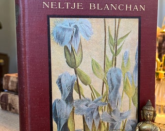 1917 1. Auflage. Wissenswerte Wildblumen von Neltje Blanchard.