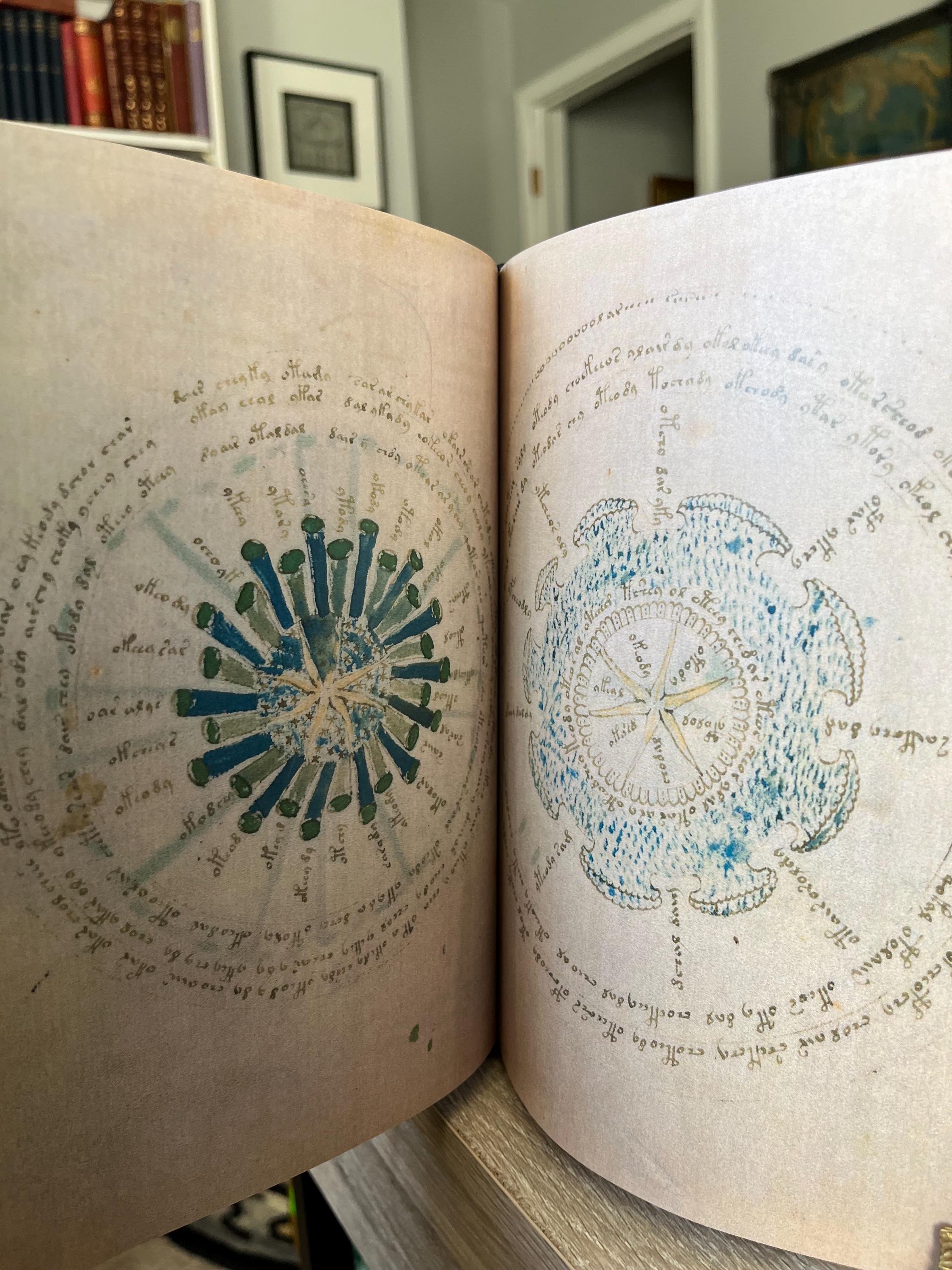 The Voynich Manuscript - Etsy The Voynich Manuscript - Etsy